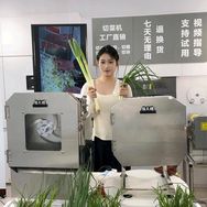 俊儿媳多功能切菜机工厂抖音号头像