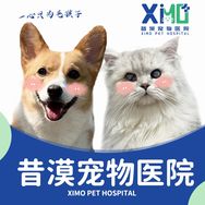武汉昔漠宠物医院抖音达人头像