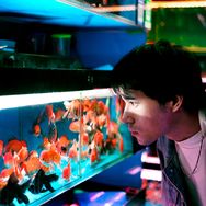 鸵鸟先生（陈有仁）抖音达人头像