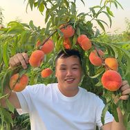 靠技术种果树（黄永）抖音达人头像