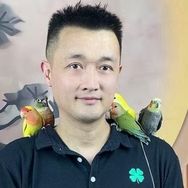 逗逗鹦鹉抖音达人头像