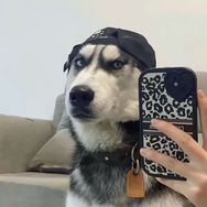 Chance's抖音达人头像