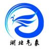 湖北天气抖音达人头像