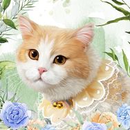 一只又廷🐱抖音达人头像