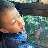 赋羽妈抖音达人头像