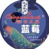 彩云之莓官方旗舰店抖音达人头像
