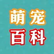 萌宠百科Show抖音达人头像