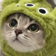 哪儿拿抖音达人头像