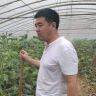 寿光蔬菜王友福（华易农业）抖音达人头像