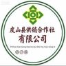 皮山县供销合作社有限公司抖音达人头像