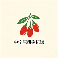 中宁县原耕养生店抖音达人头像