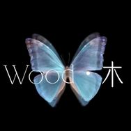 Wood·木👑i上反差抖音达人头像