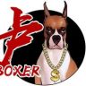 拳师犬阿卢抖音达人头像