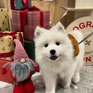 雪花耶🐾抖音达人头像