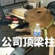 林林说攻防抖音达人头像