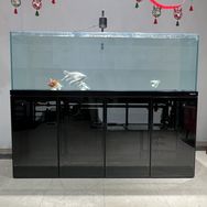 杭州亮彩鱼缸水族工厂店抖音达人头像