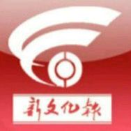 新文化报抖音达人头像