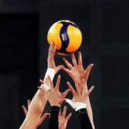 小小白体育🏐️🏓️🏀⚽️抖音达人头像