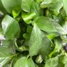 繁花抖音号头像