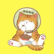 桂桂阿喵抖音达人头像