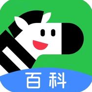 斑马百科直播号抖音号头像