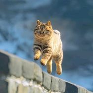 宇琦百货抖音号头像