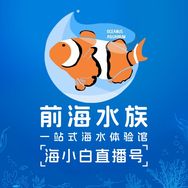 前海水族-海小白直播抖音达人头像