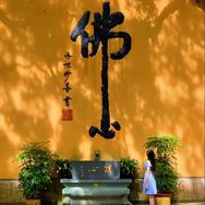 普陀山祈福专场抖音达人头像