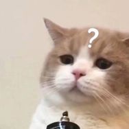 姚姚不是P30抖音达人头像