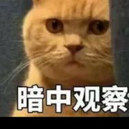 嘟嘟111抖音达人头像