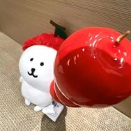 吐司边边抖音达人头像