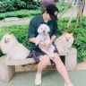 老何说狗抖音达人头像