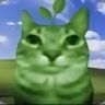 猫神抖音达人头像