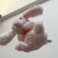 珂酱酱抖音达人头像