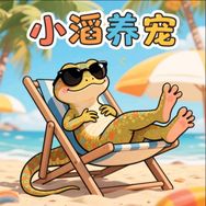 小滔养宠抖音达人头像