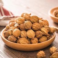 宜宾川砂仁产地抖音号头像