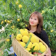 乐鲜果园抖音达人头像