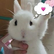 WWin壳壳抖音达人头像