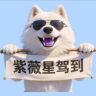 紫薇星驾到抖音达人头像