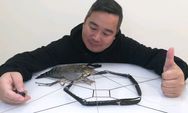 觅大叔抖音达人头像