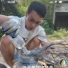 虎头蜂酒户外野抖音达人头像