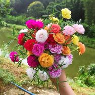 麦迪好物抖音号头像