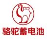 骆驼蓄电池旗舰店抖音达人头像