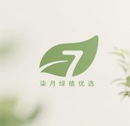 柒月绿植优选抖音达人头像