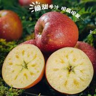 好安一果蔬旗舰店抖音达人头像