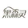 黑森灵元气口腔护理专卖店抖音达人头像