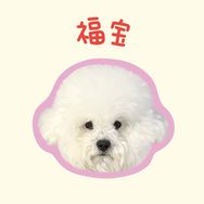 小熊福福抖音达人头像