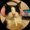 超拽的猫抖音达人头像