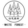 白森林旗舰店口虹卫生巾抖音达人头像