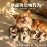 小刚学长抖音达人头像